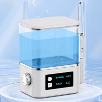 Desktop 1000ml Oral Irrigator