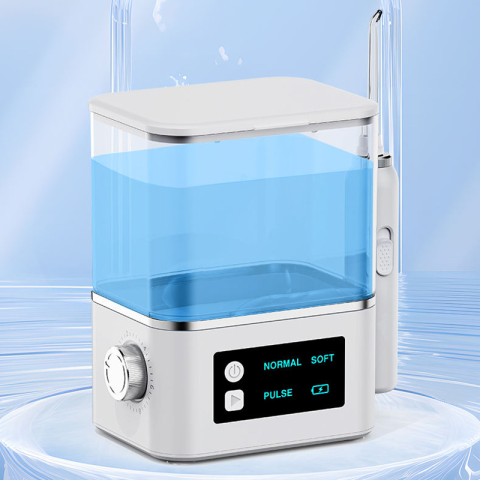 Desktop 1000ml Oral Irrigator