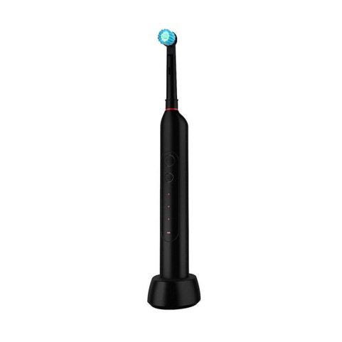 Adult Electric Toothbrush with Nylon Bristles
