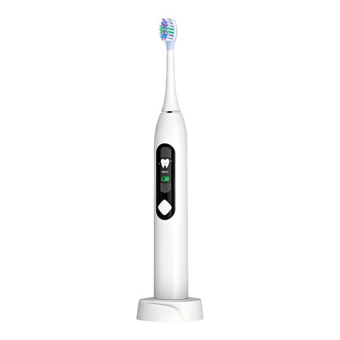 Rechargeable IPX8 Waterproof Electric Toothbrush