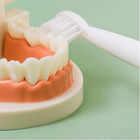 High-Quality White Electric Sonic Toothbrush