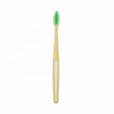 Adult Soft-Bristle Nylon Toothbrush