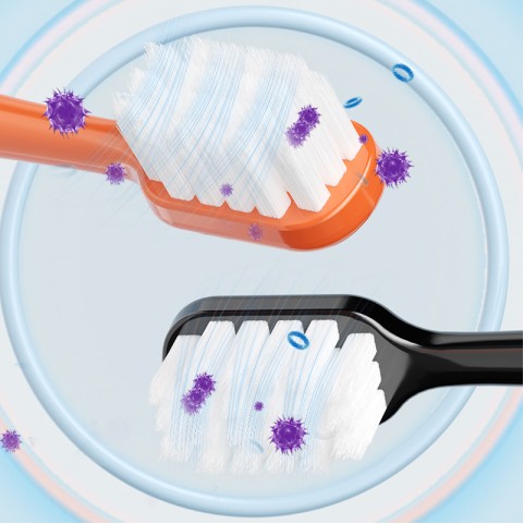 Brand-New Biodegradable Manual Adult Toothbrush