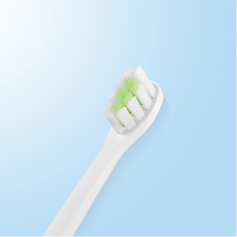 Waterproof DuPont Nylon Replacement Brush Heads