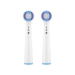 Soft-Bristled Rounded Replacement Brush Heads with Color-Changing Indicator