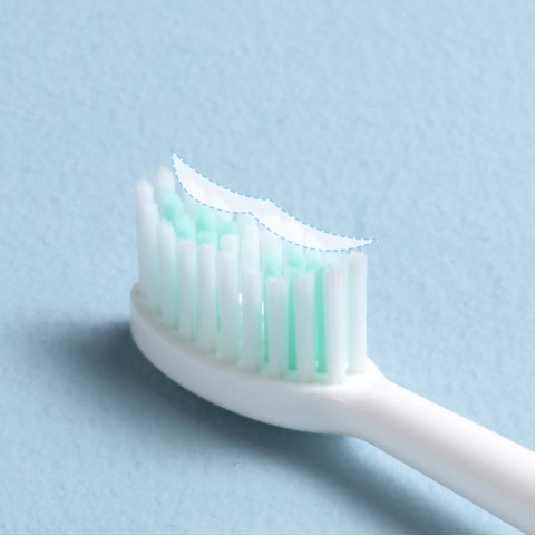 Sonic Electric Toothbrush Replacement Brush Heads